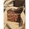 wholesale dried galangal with competitive price